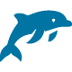 dolphin icon