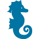 seahorse icon