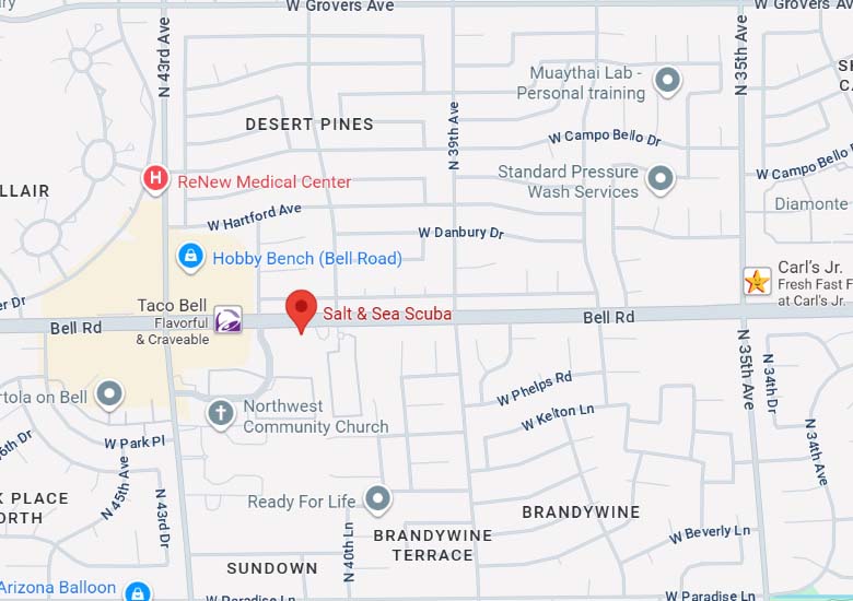 Indoor Pool at Sea & Salt Scuba